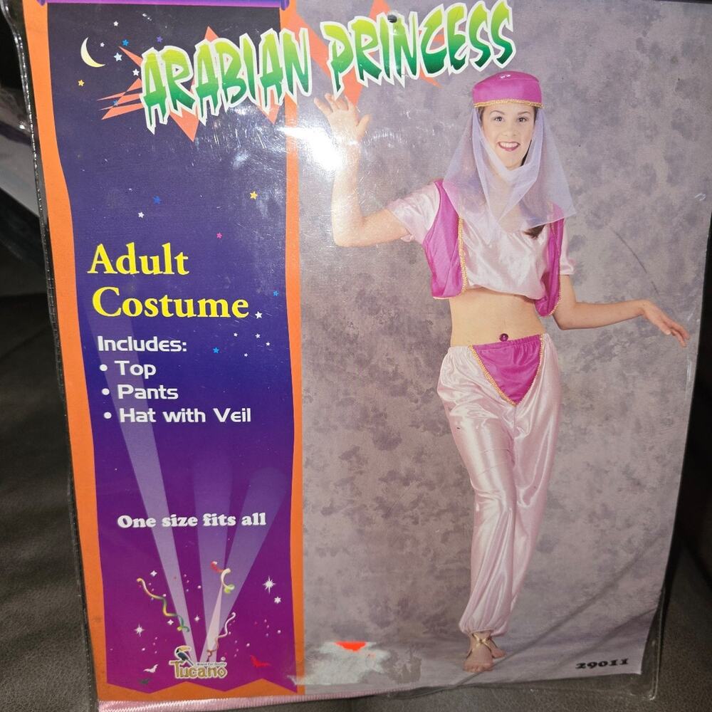 Adult Arabian Princess Costume - Top, Pants, Hat with Veil NWT